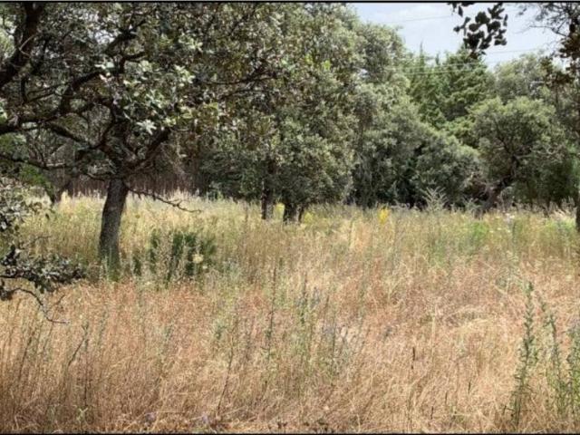 Terreno en venta en Guadarrama, Madrid