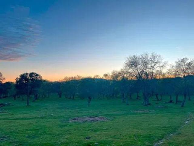 Terreno en venta en Collado Villalba, Collado