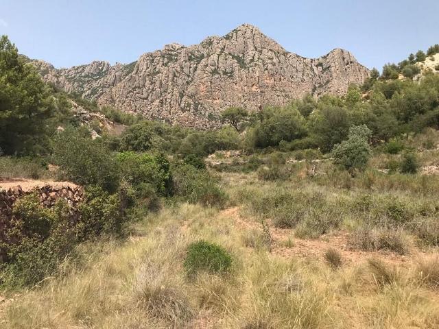 Terreno en venta en Collbató