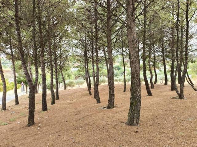 Terreno en venta en Colmenar De Oreja, Madrid