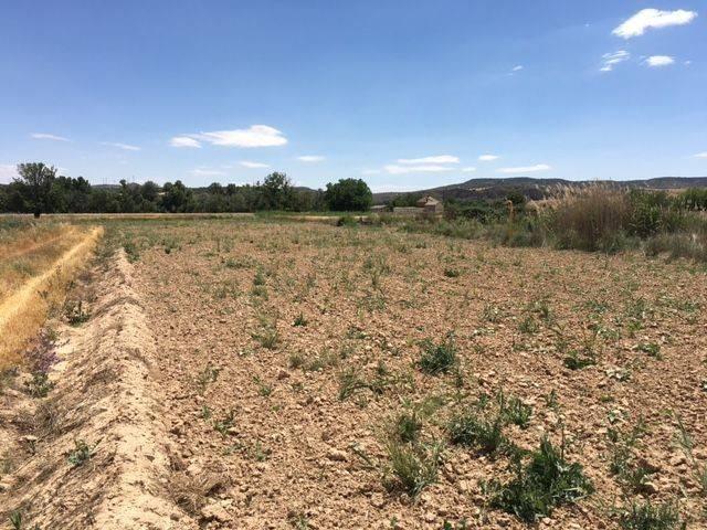 Terreno en venta en Colmenar De Oreja