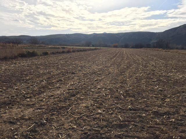 Terreno en venta en Colmenar De Oreja