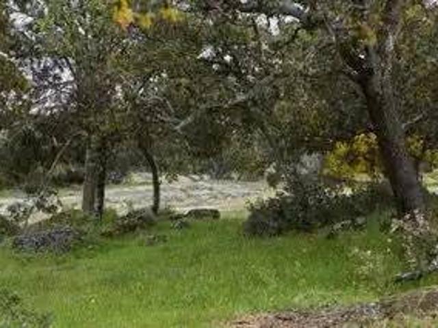 Terreno en venta en Colmenar Del Arroyo, Madrid