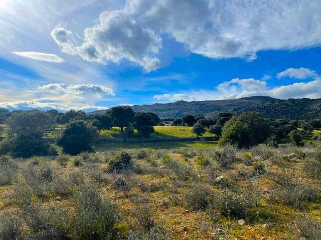 Terreno en venta en Colmenar Viejo Terreno en venta en Colmenar Viejo