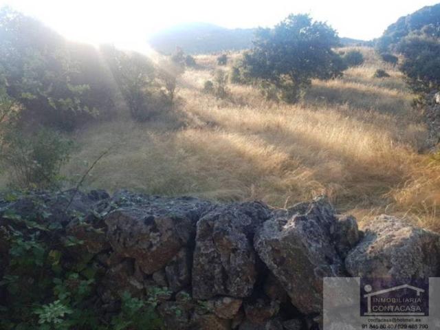 Terreno en venta en Colmenar Viejo, Madrid