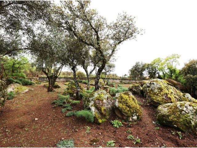 Terreno en venta en Hortaleza, Madrid