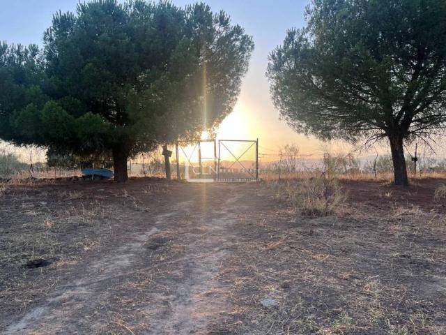 Terreno en venta en Hortaleza, Madrid
