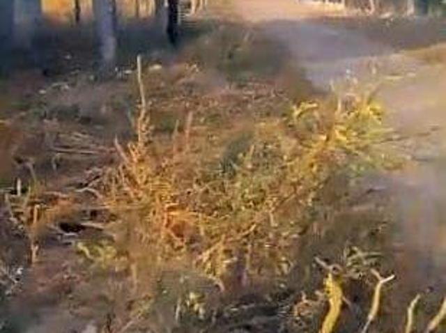 Terreno en venta en Nuevo Casas Grandes, Chihuahua