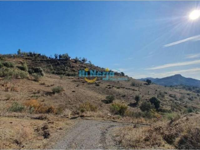 Terreno en venta en Comares