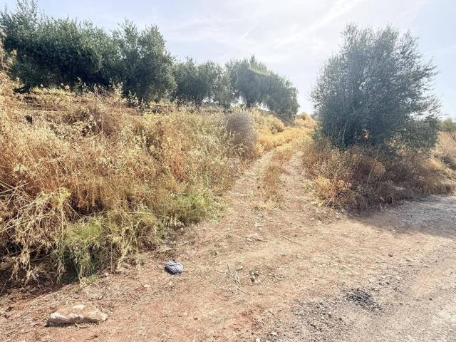 Terreno en venta en La Axarquía, Andalucía
