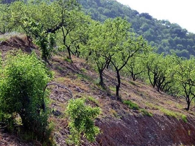 Terreno en venta en Comares