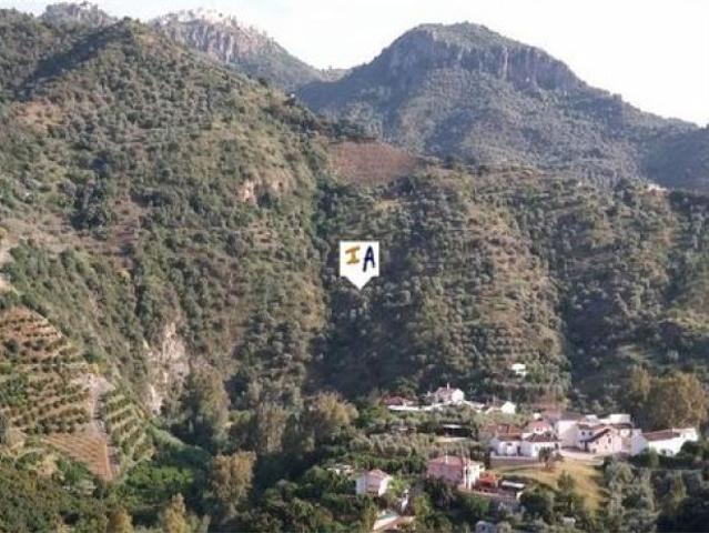 Local Comercial en venta en Comares, Llano de Almendra