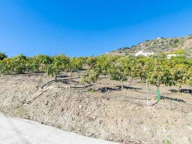 Terreno en venta en La Axarquía, Andalucía