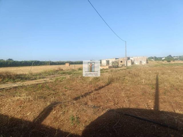 Terreno en venta en La Janda, Andalucía