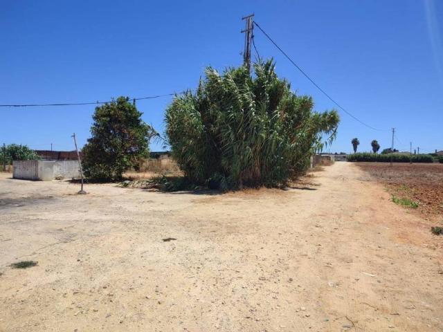 Terreno en venta en La Janda, Andalucía