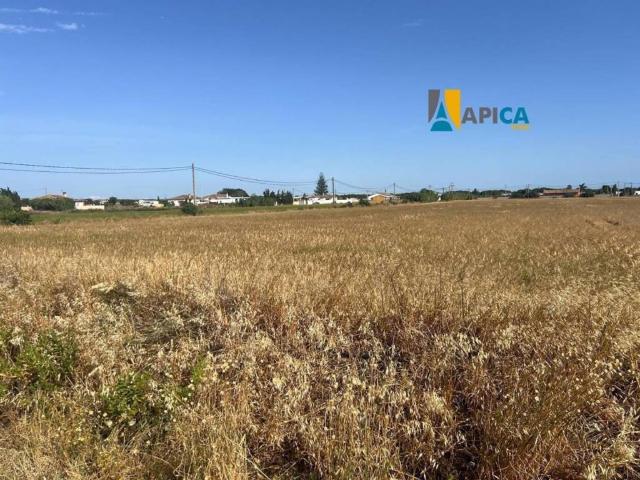 Terreno en venta en La Janda, Andalucía