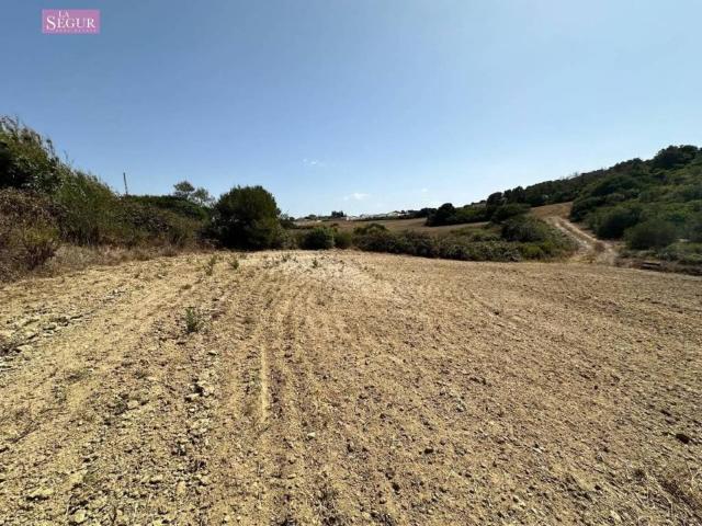 Terreno en venta en La Janda, Andalucía