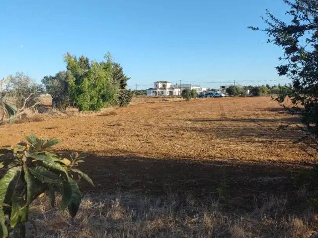 Terreno en venta en La Janda, Andalucía