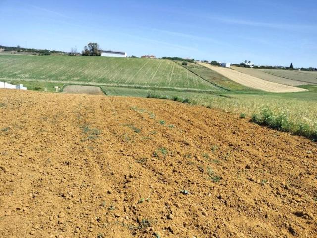 Terreno en venta en La Janda, Andalucía