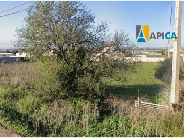 Terreno en venta en La Janda, Andalucía