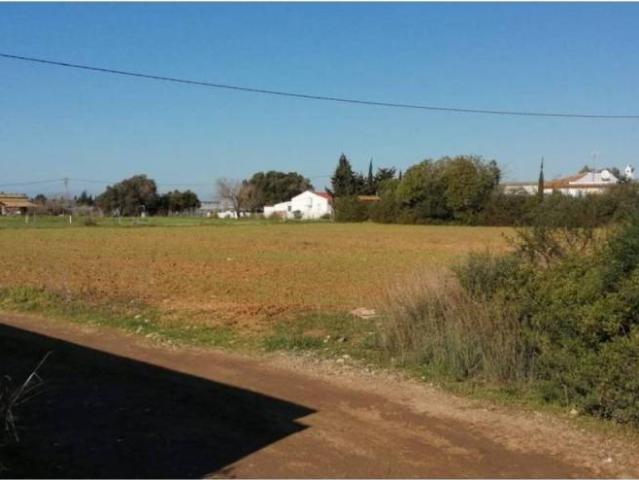 Terreno en venta en La Janda, Andalucía