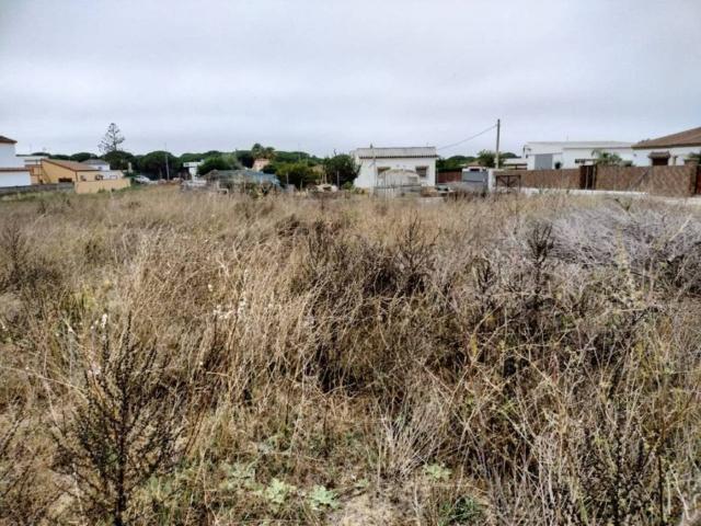 Terreno en venta en La Janda, Andalucía