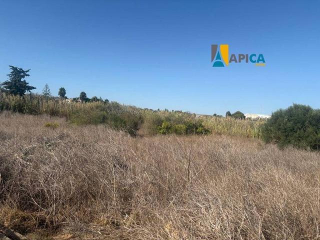 Terreno en venta en La Janda, Andalucía