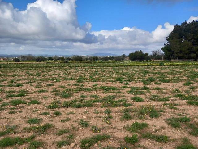 Terreno en venta en Consell