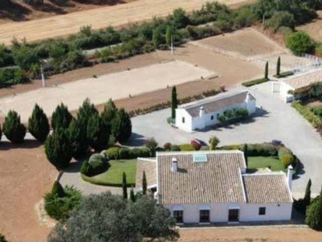 Terreno en venta en Constantina, Andalucía