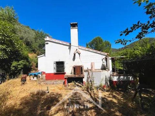 Terreno en venta en Constantina, Andalucía
