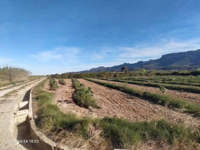 Terreno en venta en la Ribera Baixa, Valencia