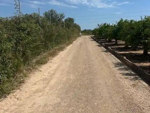 Terreno en venta en la Ribera Baixa, Valencia