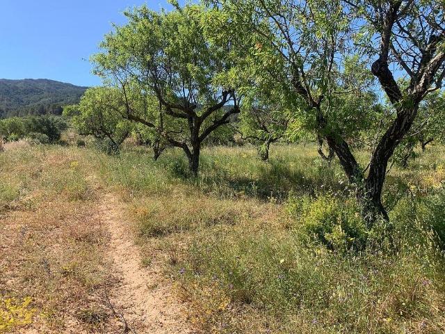 Terreno en venta en Terra Alta, Catalunya