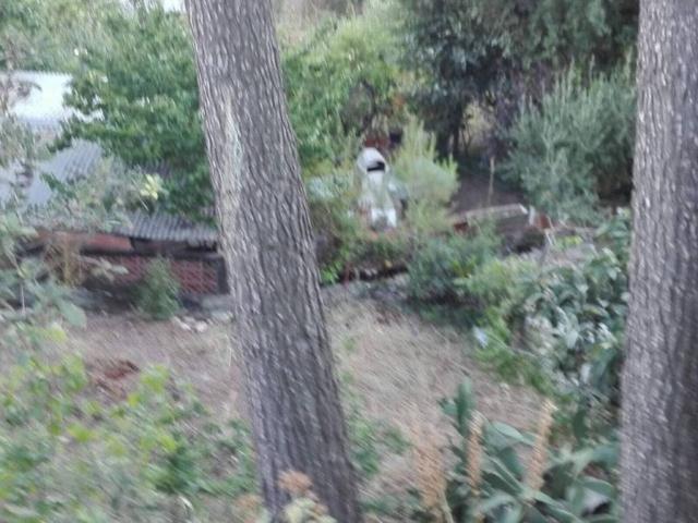 Terreno en venta en Baix Llobregat, Catalunya