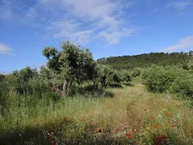 Terreno en venta en Terra Alta, Catalunya
