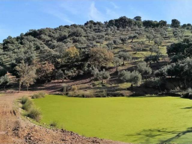 Terreno en venta en Córdoba, Andalucía