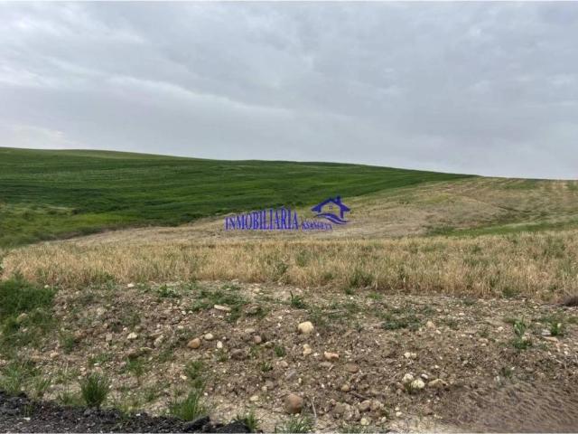 Terreno en venta en Córdoba, Andalucía