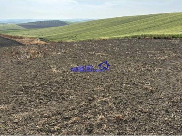 Terreno en venta en Córdoba, Andalucía