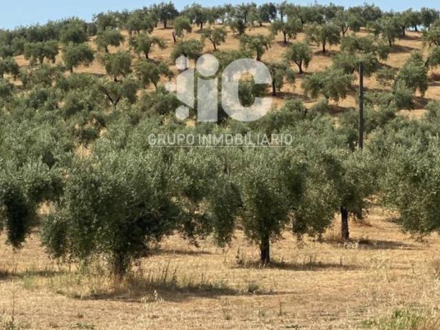 Terreno en venta en Córdoba, Andalucía