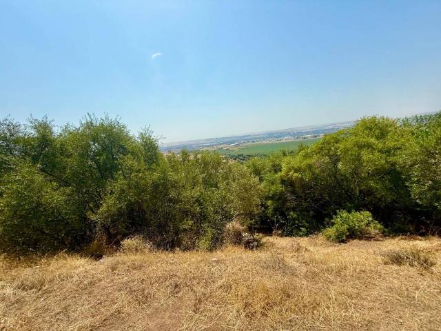 Terreno en venta en Córdoba, Andalucía