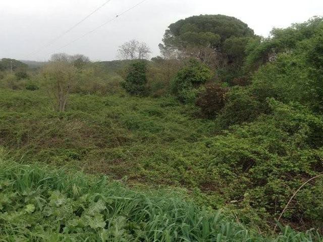 Terreno en venta en Córdoba, Andalucía