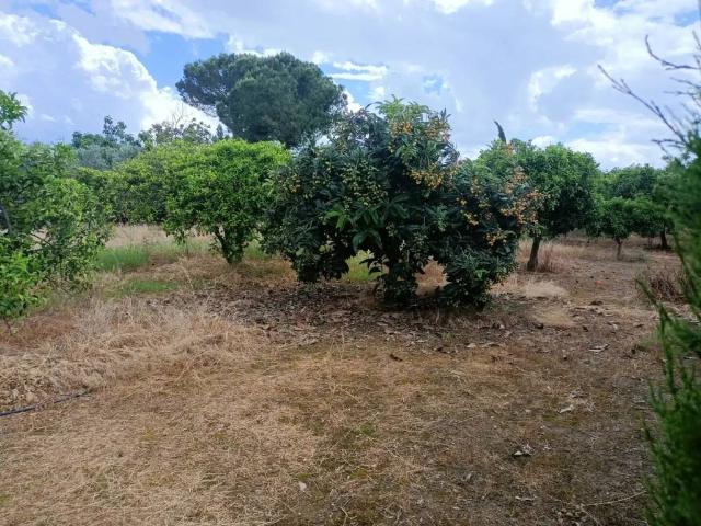 Terreno en venta en Peñatejada, Córdoba