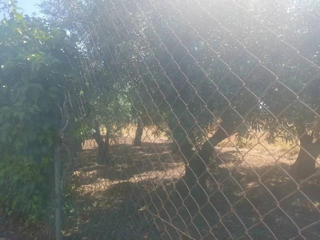 Terreno en venta en Córdoba, Andalucía