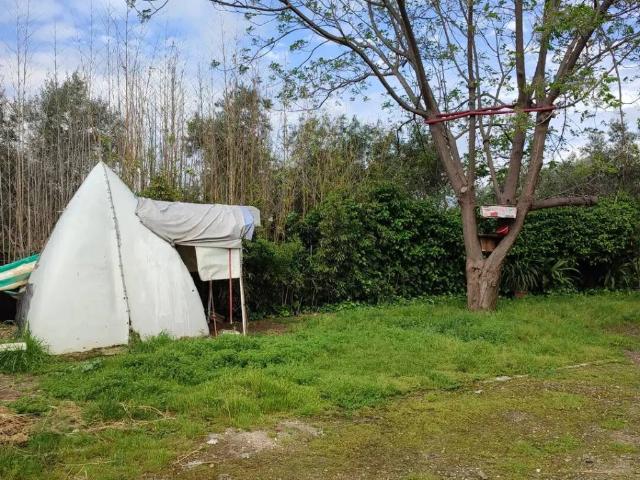 Terreno en venta en Córdoba, Andalucía