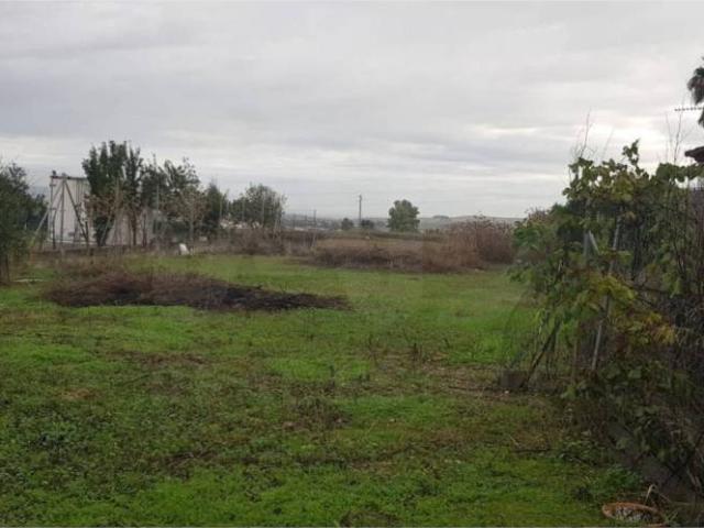Terreno en venta en Córdoba, Andalucía