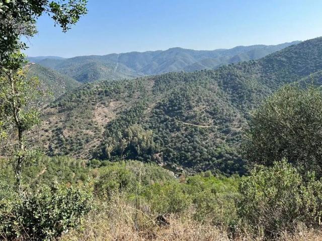 Terreno en venta en Córdoba, Andalucía