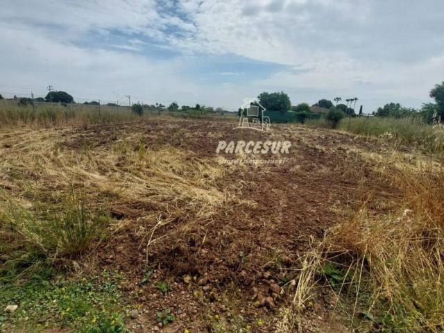 Terreno en venta en Córdoba, Andalucía