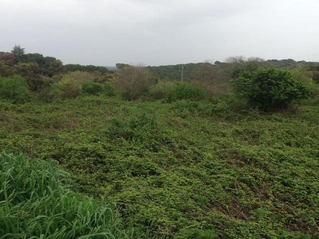 Terreno en venta en Córdoba, Andalucía