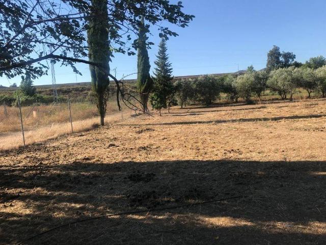 Terreno en venta en Córdoba, Andalucía