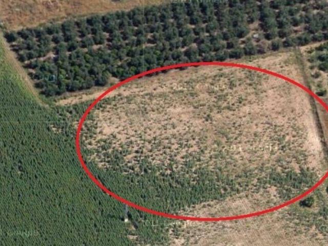 Terreno en venta en Córdoba, Andalucía